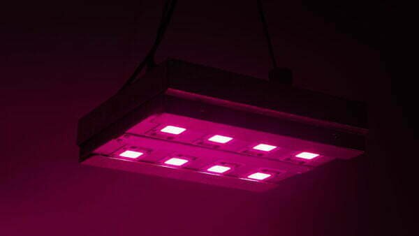 Panel led 400w Cultivo Indoor Luxativa