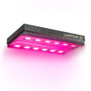 Panel led 600w Cultivo Indoor Luxativa