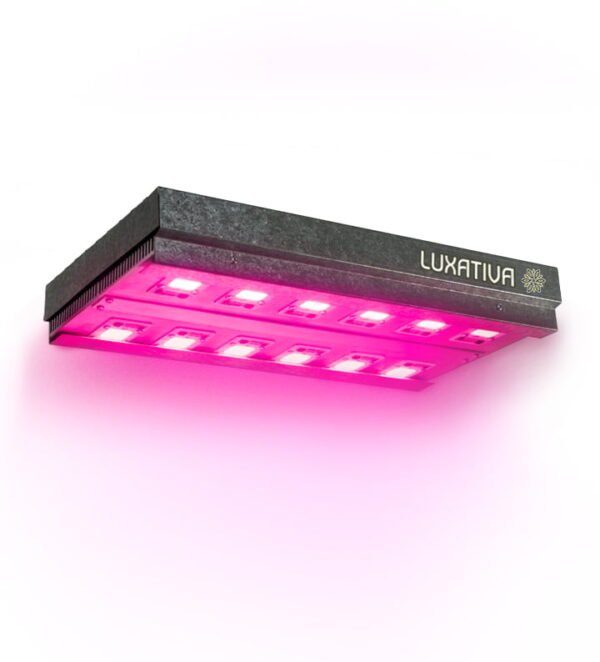 Panel led 600w Cultivo Indoor Luxativa