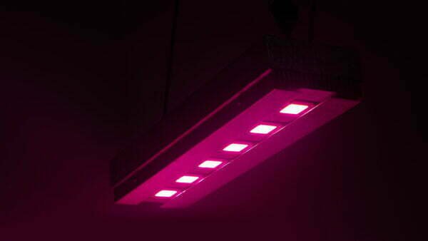 Panel led 300w Cultivo Indoor Luxativa