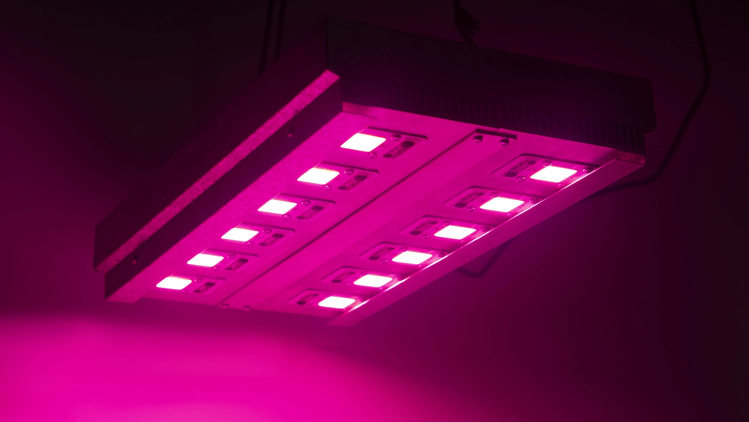 Panel led 600w Cultivo Indoor Luxativa