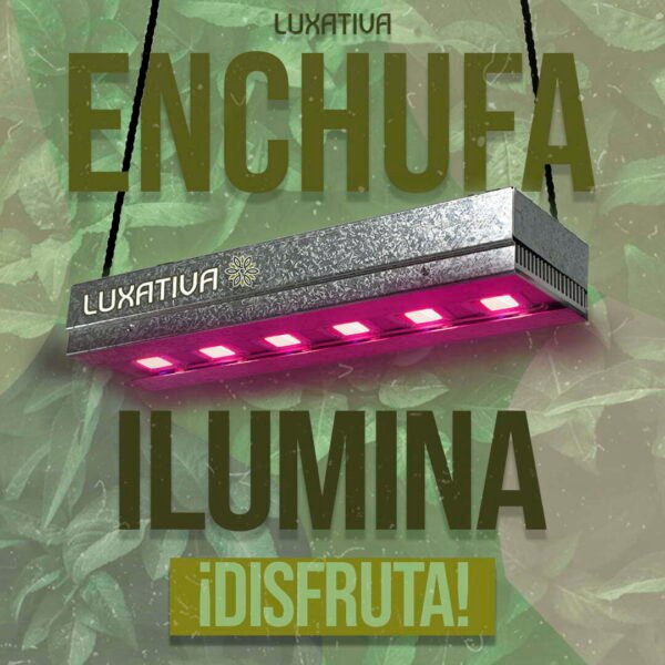 Panel led 300w Cultivo Indoor Luxativa