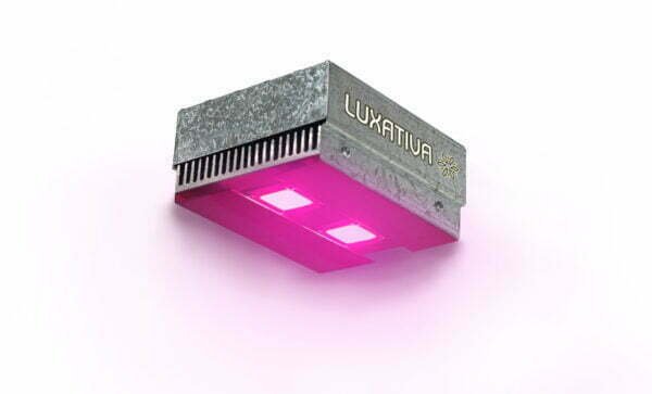 Combo Panel led 100w + Poleas Bellavita 5kg