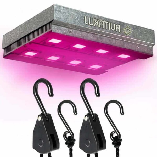 Combo Panel led 400w + Poleas Bellavita 5kg