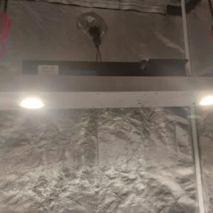 Panel LED de 100w Citizen Clu04j Gen8 + driver Philips Xitanium