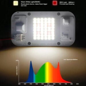 Led Samsung YXO LM283B+